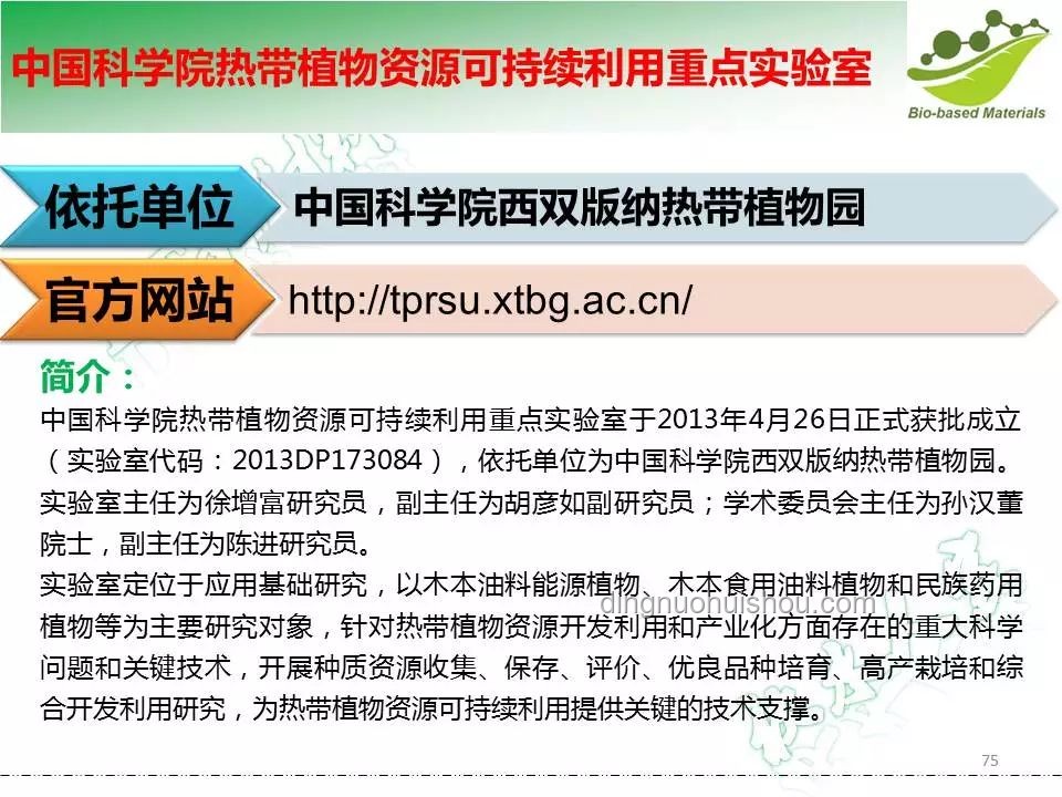 全合成的意义：解锁化学新材料的未来之路